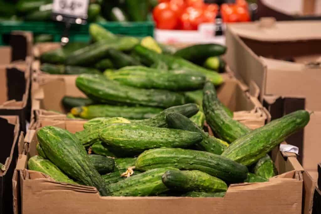 SEO voor Natuurvoedingswinkels